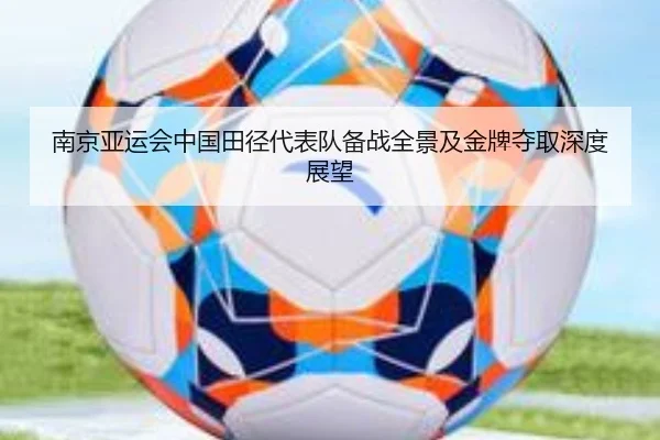 南京亚运会中国田径代表队备战全景及金牌夺取深度展望（NANGONG SPORTS）